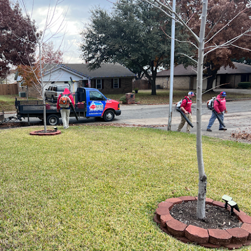 Buffalo Outdoor Lawn Care & Pest Control in Fort Worth