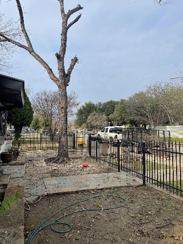 H&S Lawn and Tree Care in Mansfield