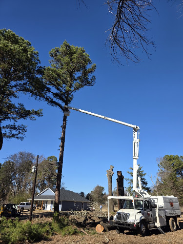 Rockin' A Timber in Wills Point
