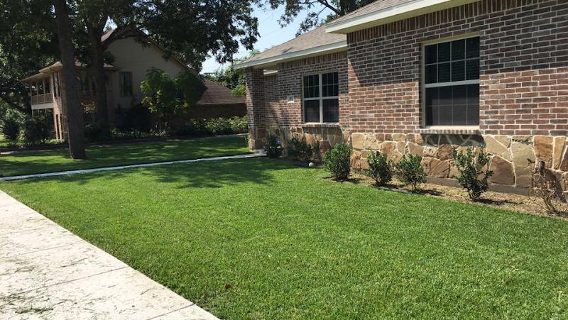 Valdez Lawn Care in Dallas