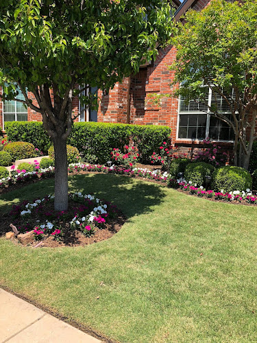 Green-Go in McKinney