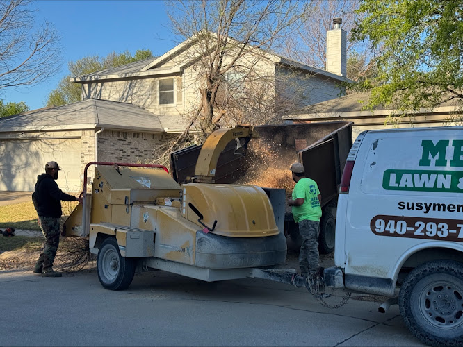 Mendoza Lawn & Tree Service. in Denton