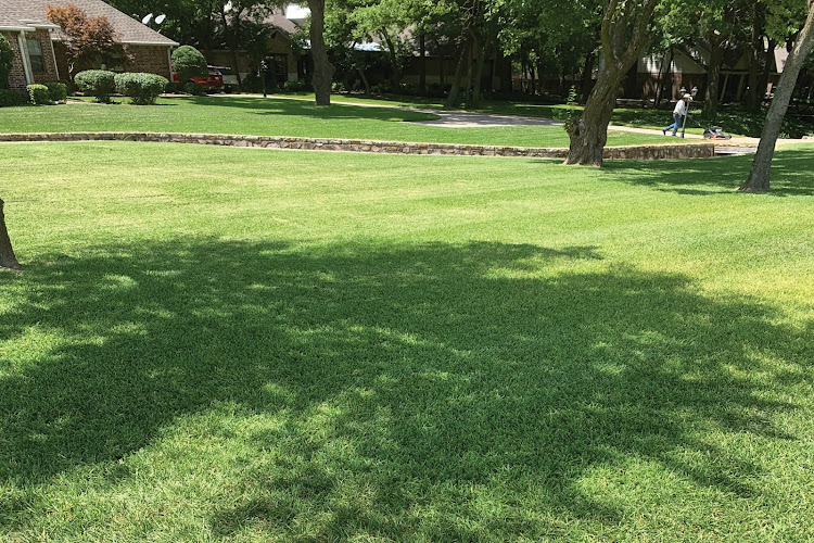 Lawn Sense in McKinney