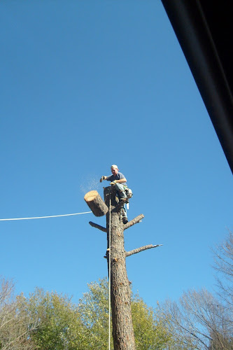 Texan Outdoor Services in Watauga