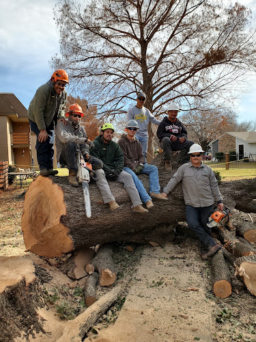 TreeTop Tree Service in Arlington