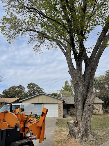Tactical Tree Operations in Irving