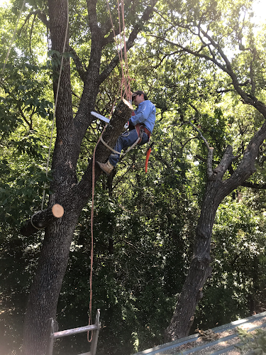 North Texas Tree & Lawn Services in Sherman