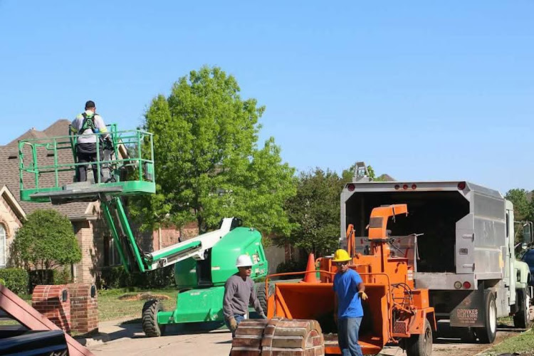 Lucky's Tree services in Richland Hills