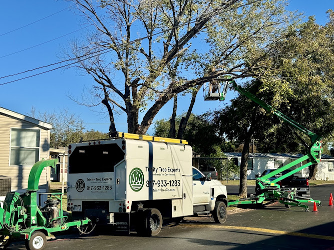 Trinity Tree Expert Company in Alvarado
