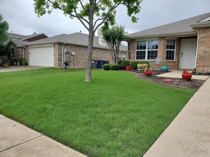 Texas Lawn Tech, LLC in Wylie