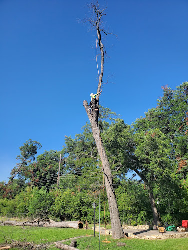AJ Tree Service in Kennedale