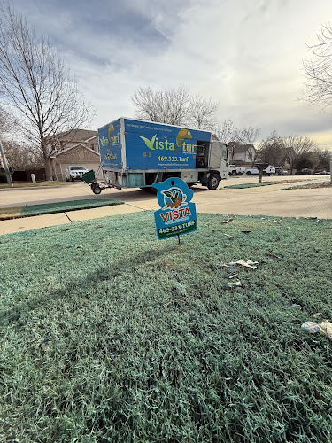 Vista Lawn and Pest in Midlothian