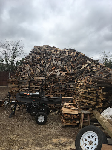 3 Brothers tree Service in Dallas