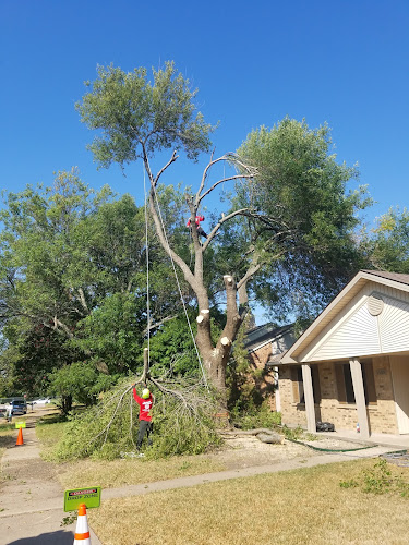 Patriot Tree Service in Allen