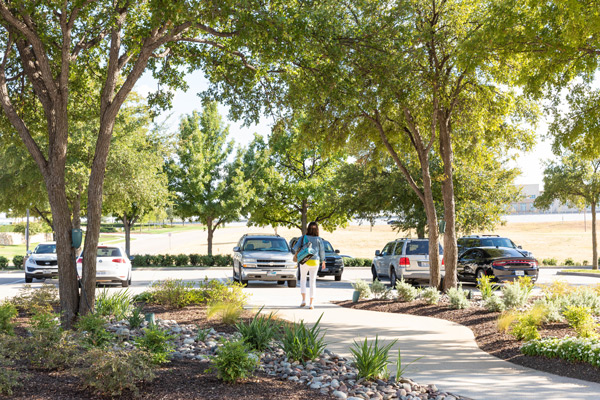 Custom Greenscaping in Irving