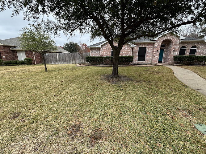 Delgado Reyes Home & Yard in Mesquite
