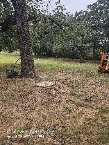 Frias Tree & Lawn Care Service LLC in Royse City