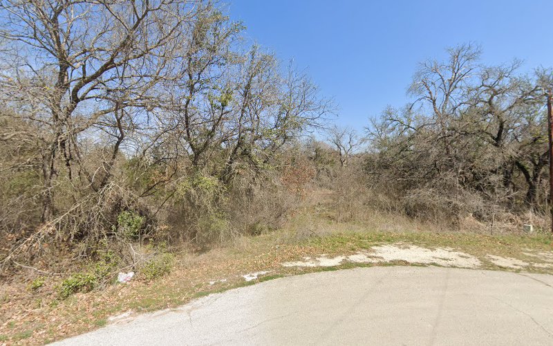 Rooted Tree Care and Land Clearing in Granbury