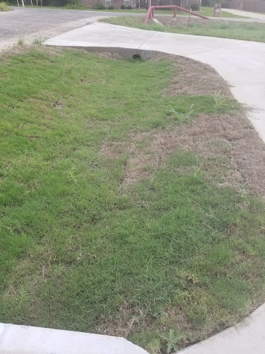 Brazos Valley Grass in Granbury