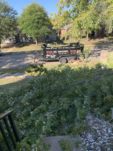 Dawn of New Lawn & Tree Corporation in Lancaster