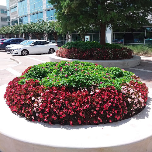 Merit Landscape Solutions in Farmers Branch