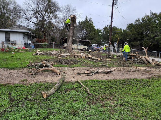 Texas Climbers Tree Service LLP in Hillsboro