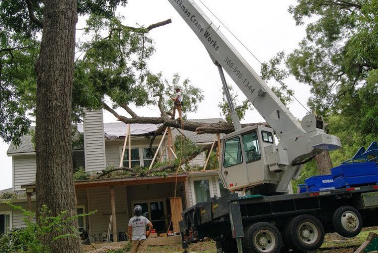 3 Alarm Tree Rescue in McKinney