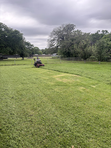 Los primos landscaping in Denton