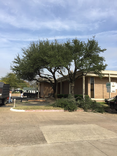 America's Tree & Landscaping in Ferris