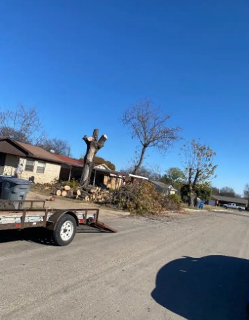Royal's Tree Service in Forney