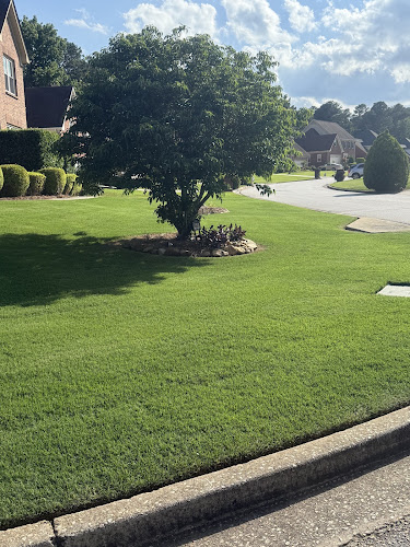 Top Turf Lawn Care and Pest Management in Fort Worth
