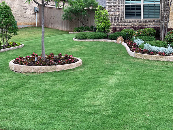 Ryno Lawn Care, LLC in Flower Mound