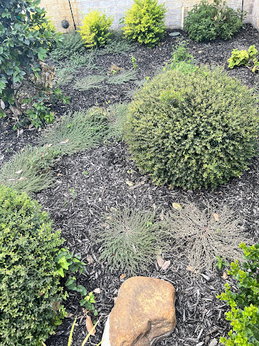 Hoot's Lawn Care in Burleson