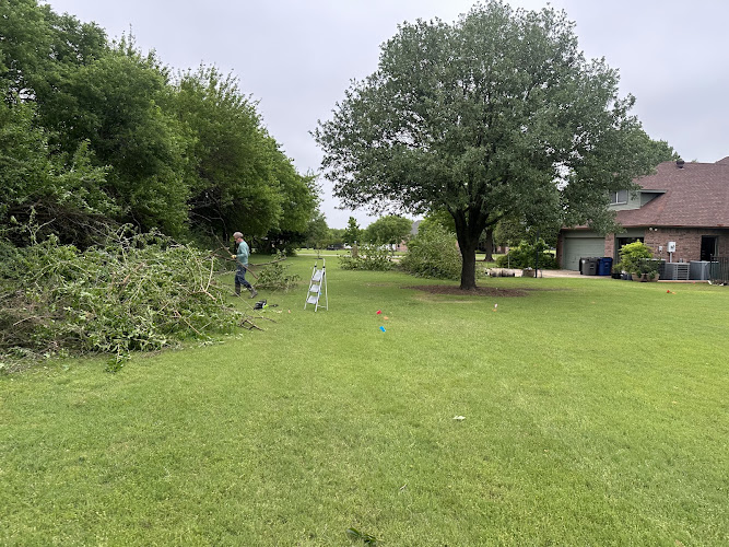 Plano Tree Care Inc in Allen