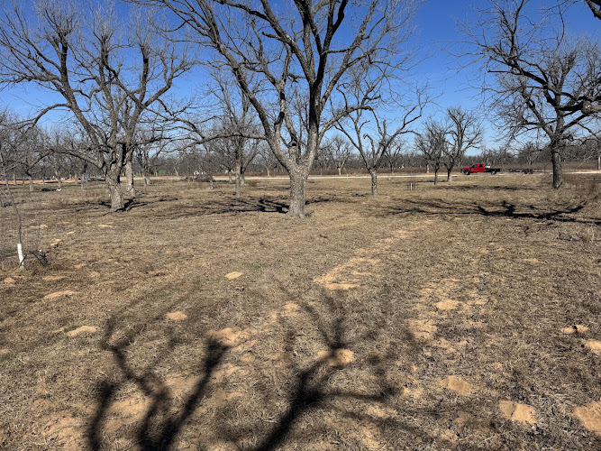 Smarty's Lawn Care and Services in Granbury