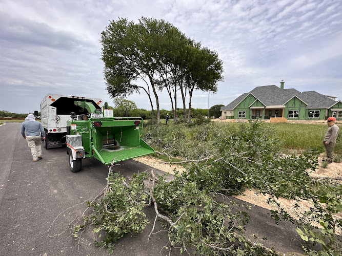Tony’s tree service in Fort Worth