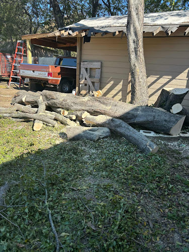 Cristobal Delgado Tree Service in Terrell