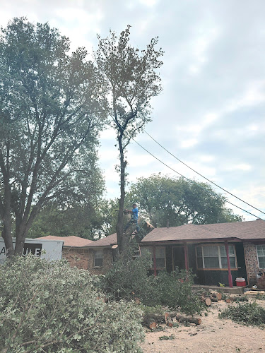 Mauro's Tree Service in Granbury