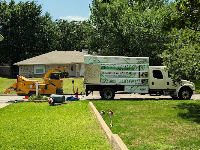Camacho Tree Service & Landscaping Burleson in Burleson
