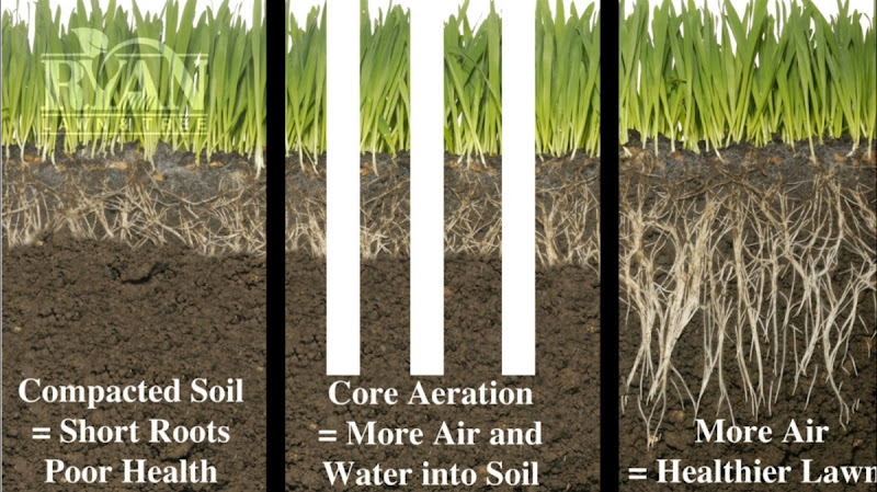 Core Advantage aeration service in Aubrey