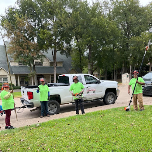 Arborculture Tree Services in Midlothian