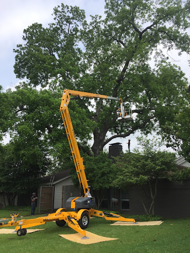 Blue Ox Urban Forestry in Benbrook