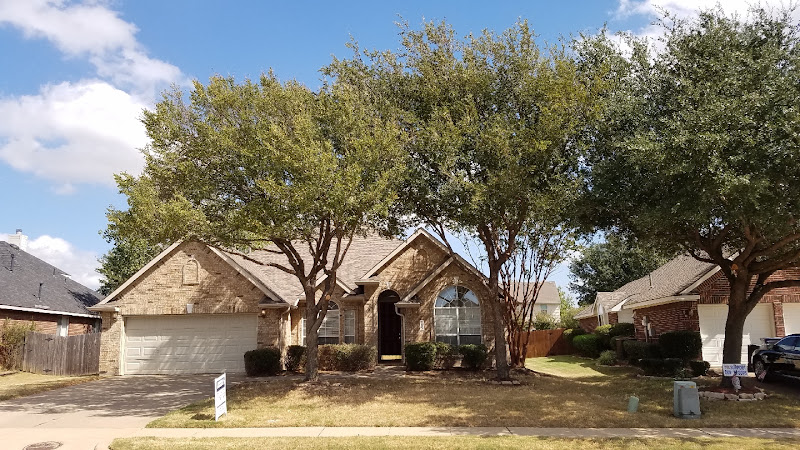 Top To Bottom Trees Inc in Denton